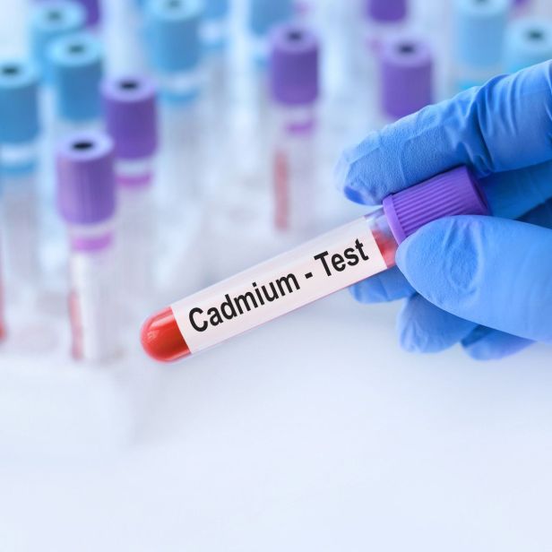 Cadmium : le dernier scandale de santé publique ? Que faut-il savoir ?