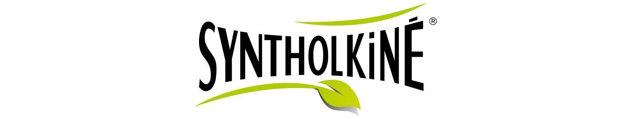 Syntholkiné