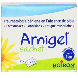 Arnigel traumatologie bénigne 12 sachets x 2g