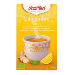 17 Infusions gingembre citron
