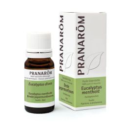 Pranarôm Huile essentielle Eucalyptus Mentholé 10ml