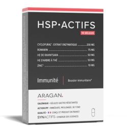 Synactifs HSP Actifs Immunité 10 gélules