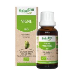Herbalgem Vigne Bio 30 ml