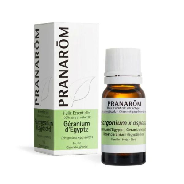 Pranarôm huile essentielle Géranium d'Egypte 10 ml