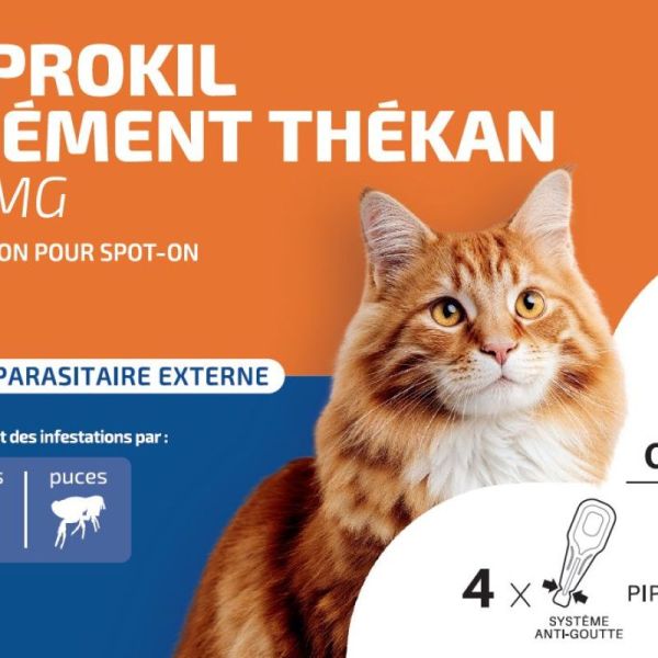 Fiprokil 50mg traitement infestation puces tiques chat 4 pipettes