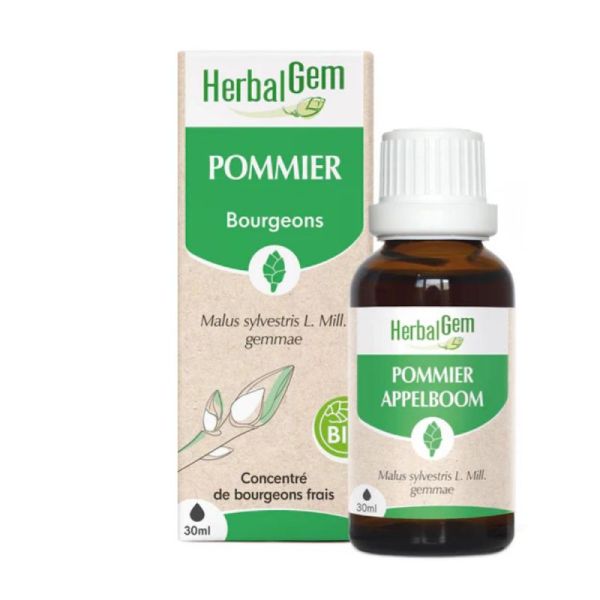 Herbalgem Bourgeon de pommier  30 ml