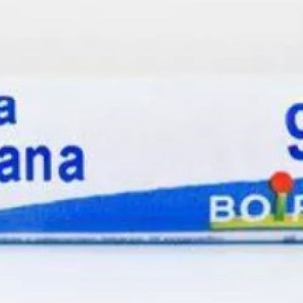 Arnica Montana 9Ch Do Gl Boi