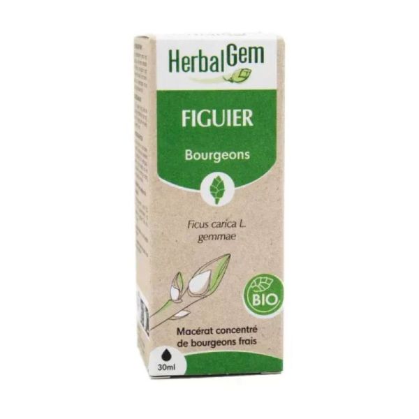 Herbalgem Figuier Bio 30 ml