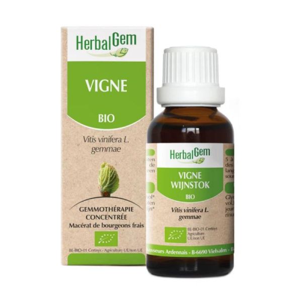 Herbalgem Vigne Bio 30 ml