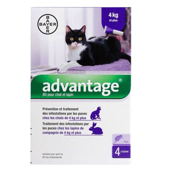 Advantage chats & lapins +4kg 4 pipettes