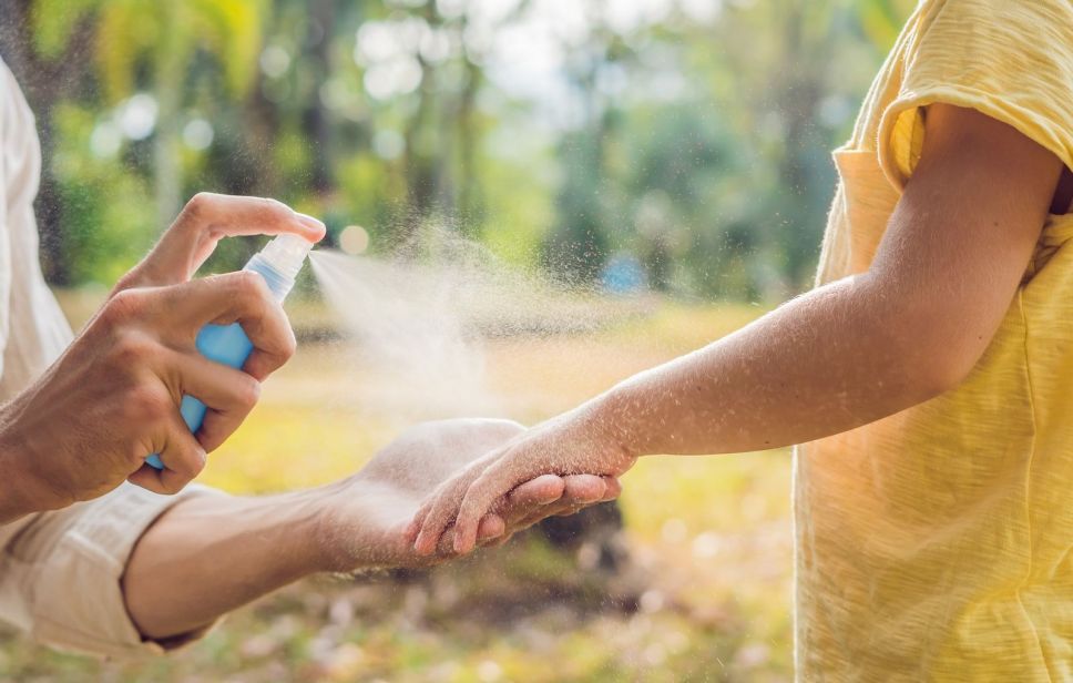 Protection contre les moustiques : pour un été en toute sérénité